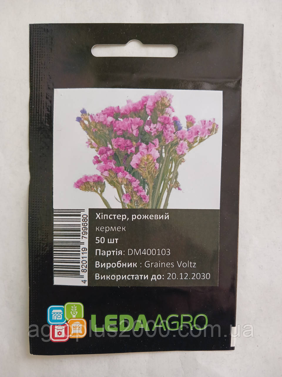 Насіння Кермек (статице)  Хіпстер Рожевий 50 насінин Graines Voltz