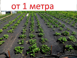 Агроволокно чорне 50 г/м кв, спанбонд для мульчування грунту, фото 1