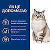 Hill's PRESCRIPTION DIET Сухий корм для котів j/d Mobility здоров'я суглобів, з куркою 1,5 кг (605857), фото 4