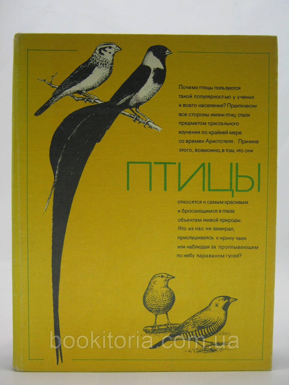 Птахи (б/у)., фото 1