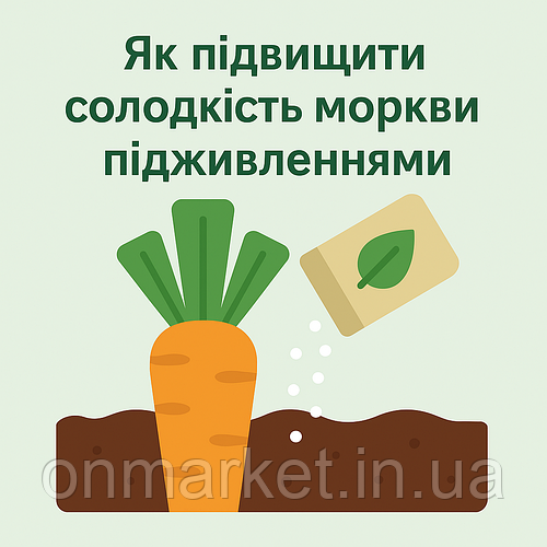 🥕 Як підвищити солодкість моркви підживленнями