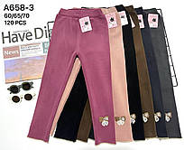 Лосини дитячі теплі велюрові на дівчинку 3-8 років (мікс) "WHITE" недорого від прямого постачальника