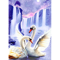Алмазная мозаика Пара лебедей 50x70см DM-047 Полная зашивка