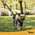 Шлейка для середніх порід собак не тисне Purlov М обхват шиї до 36 см, обхват грудей до 53 см + повідець 150 см, фото 5