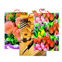 Подарункові пакети 25х39х9см ВЕЛИКИЙ ВЕРТИКАЛЬНИЙ