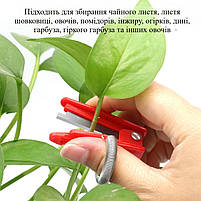 Секатор на палець для пасинкування томатів, збирання овочів та ягід, з металевим лезом і пружиною червоний 29559, фото 6