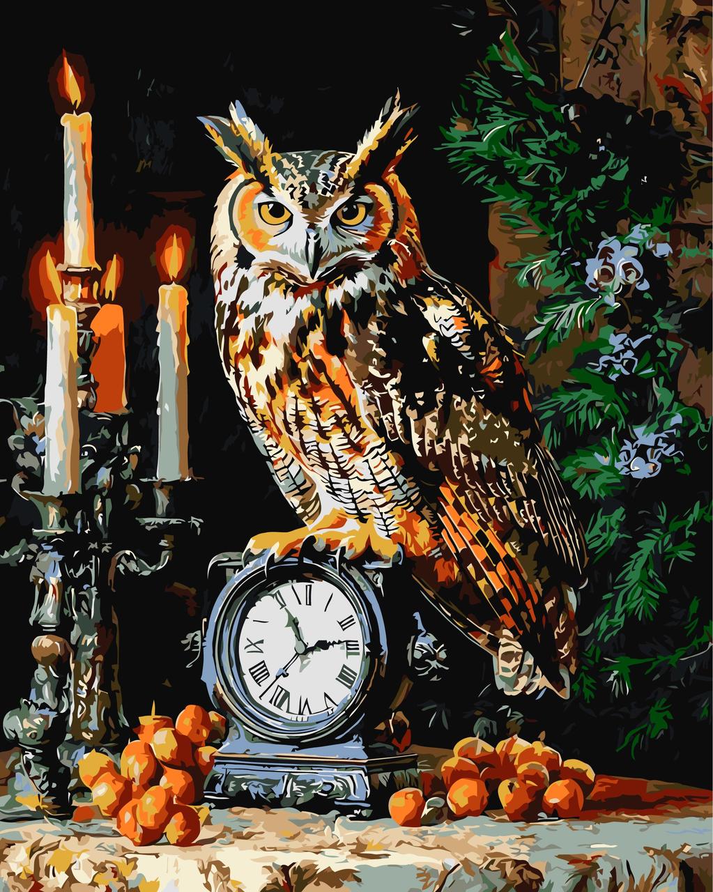 Картина за номерами 40×50 см Kontur. Сова. Сяючий вартовий часу з фарбами металік DS0699, фото 1