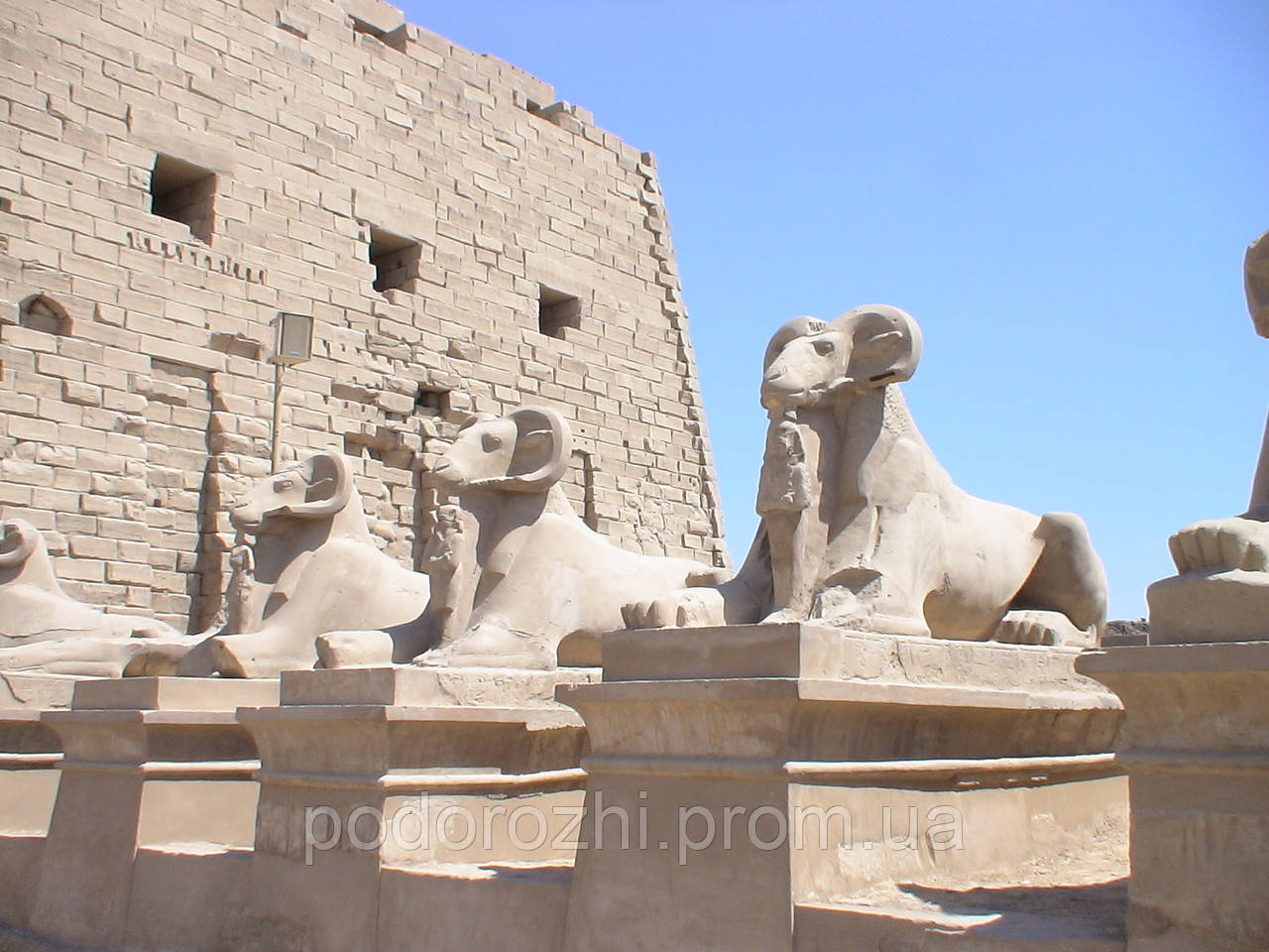 Египет: о стране, экскурсии - фото 6 - id-p14633565