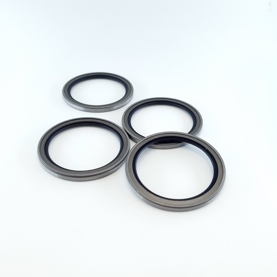 Брудознімач 45х56х4 VAY NBR