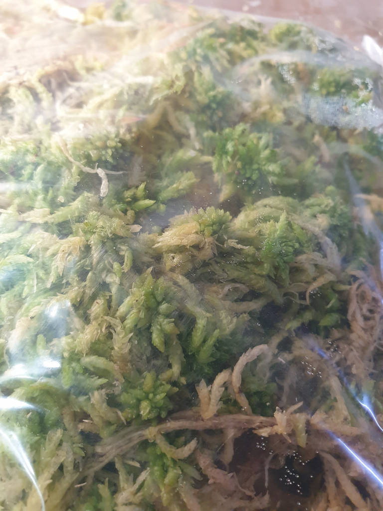 Мох сфагнум натуральний 1л - фото покупців 1