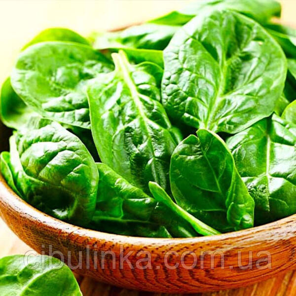 Шпинат Блумсдейл (зимовий) 10 г, фото 1