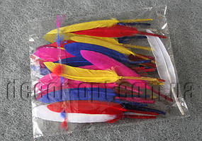 Пір'я 12-13 см 50 шт. наб.1