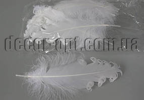 Перо біле гофре 12-15 см/10 шт.