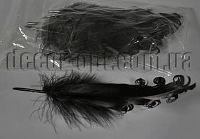 Перо чорне гофре 12-15 см/10 шт.