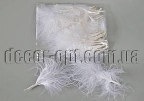 Перо пухове біле 8-12 см/45-50 шт.