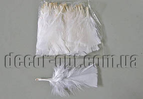 Пір'я білі з пухом обрізані 10-12 см/≈50 шт.