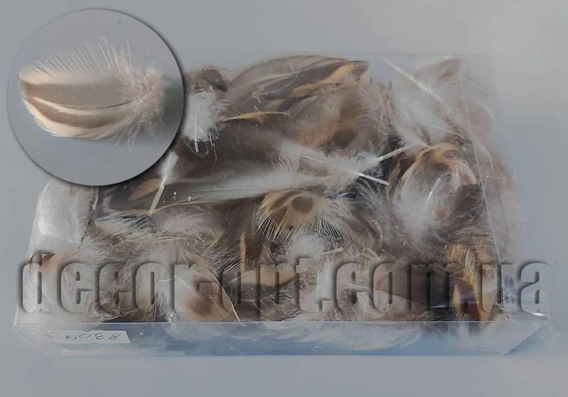Пір'я в коробці 4-7 см/140-150 шт. TFB2017019