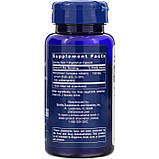 Екстракт чорниці (Standardized European) 100 мг, фото 2