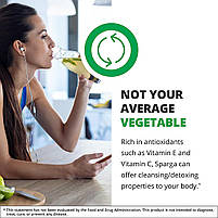 Nutramedix Sparga / Спаржа 30 мл, фото 8