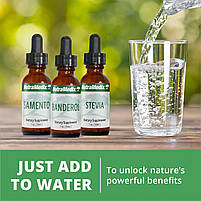 NutraMedix Noni / Ноні підтримка проти бактерій та вірусів 30 мл, фото 9