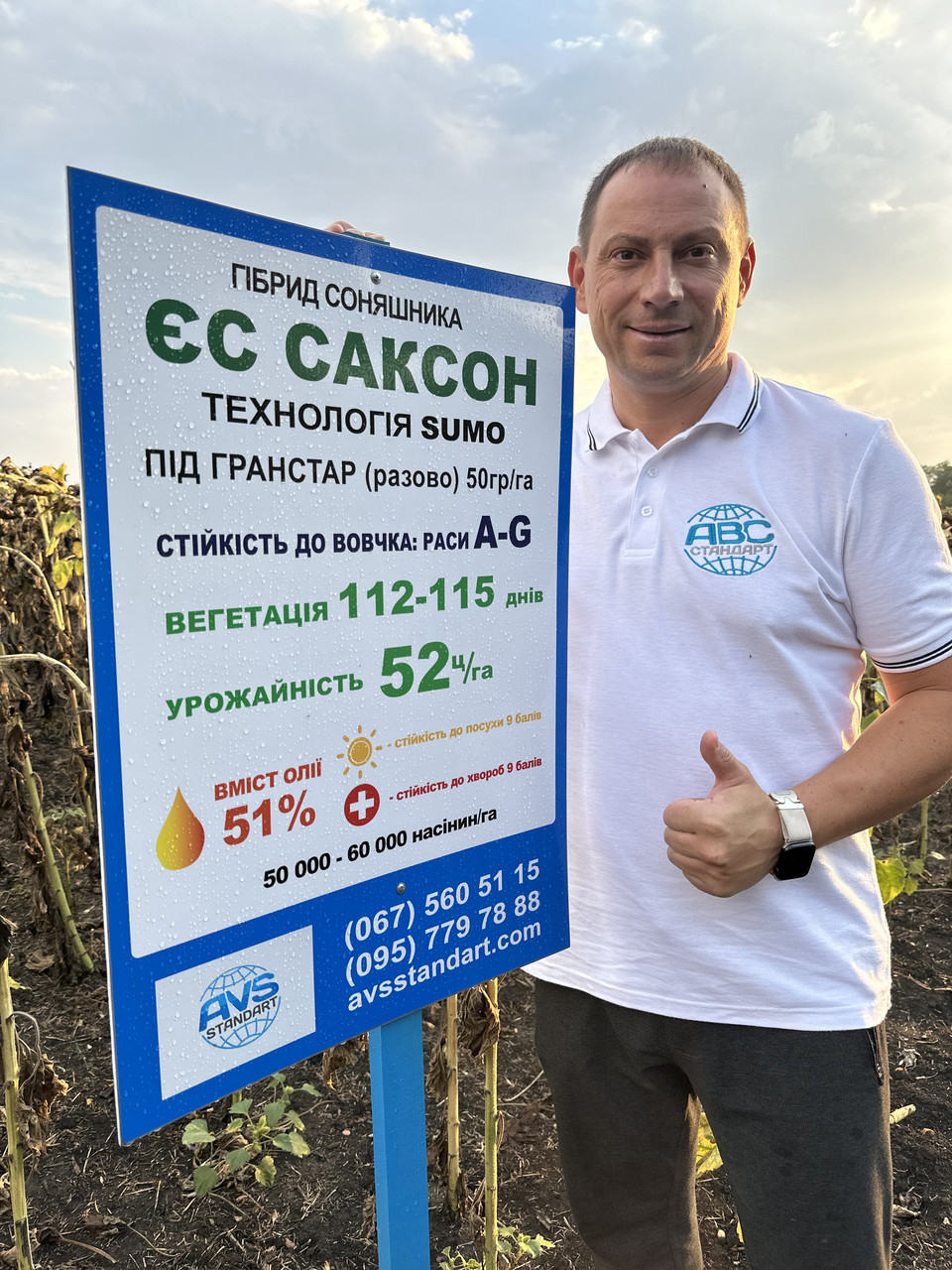 Насіння ЄС CАКСОН стійкий до вовчка A-G. Соняшник САКСОН урожайний 55ц/га, олія 52%, посуха 9 балів., фото 1