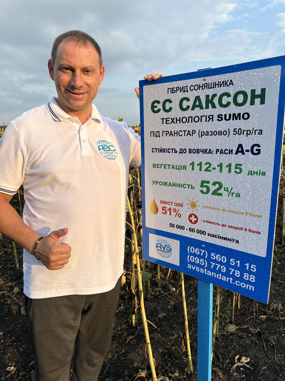 Соняшник ЄС Саксон під Гранстар. Жаростійкий гібрид. ЄС Саксон високоврожайний 60 ц / га. Екстра, фото 1