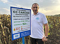 Соняшник ЄС Саксон під Гранстар. Жаростійкий гібрид. ЄС Саксон високоврожайний 60 ц / га. Екстра, фото 5