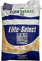 Соняшник ЄС Саксон під Гранстар. Жаростійкий гібрид. ЄС Саксон високоврожайний 60 ц / га. Екстра, фото 3