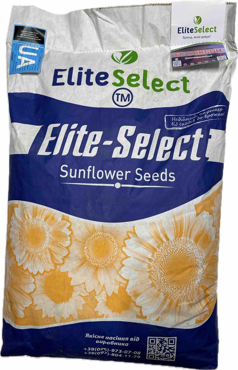 Гібрид під Грастар. ЄС Альфа 9Сумо). 55ц/га, вовчок A-G, олія 52%.  Стандарт, фото 1