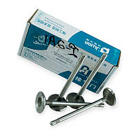 Клапана Amulet (JWAA) випуск ASIAN