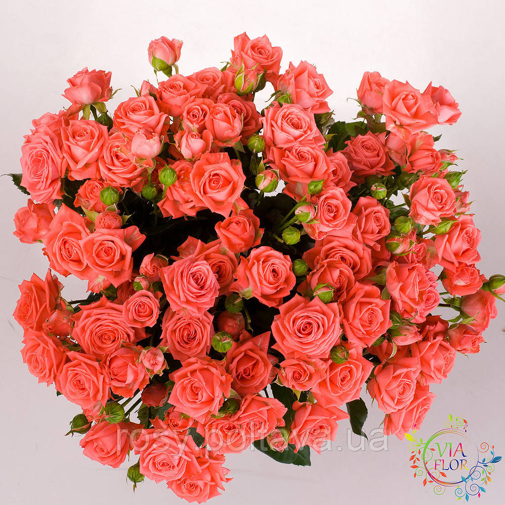 Барбадос (Barbados), фото 1