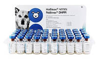Вакцина для собак Nobivac DHPPi (Нобивак ЧГППИ) лиофилизированный компонент от чумы гепатита парвовируса парагриппа