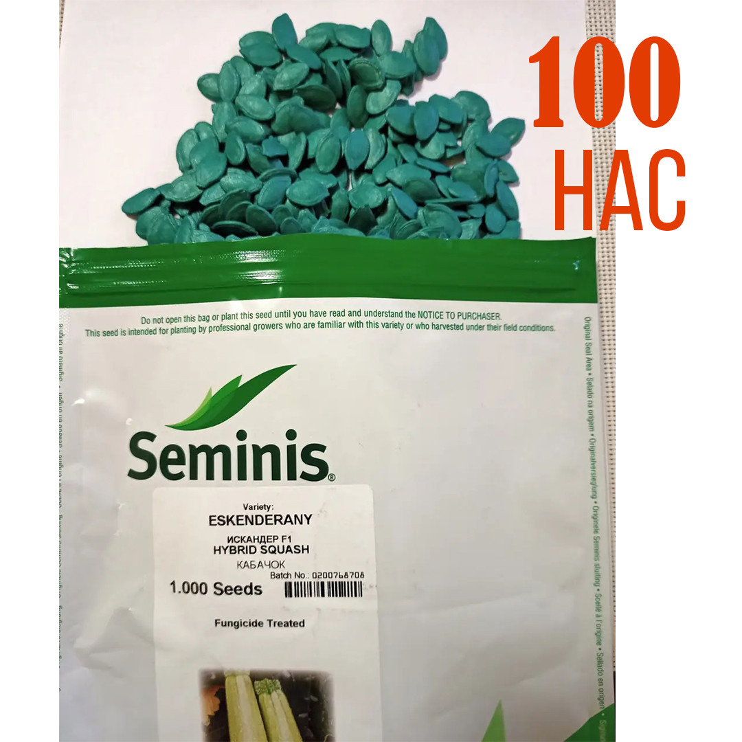 Кабачок Іскандер F1 SEMINIS 100 нас ЗІП, фото 1