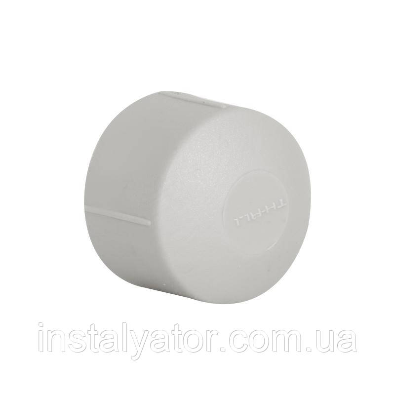 Заглушка PPR Thermo Alliance 25, фото 1