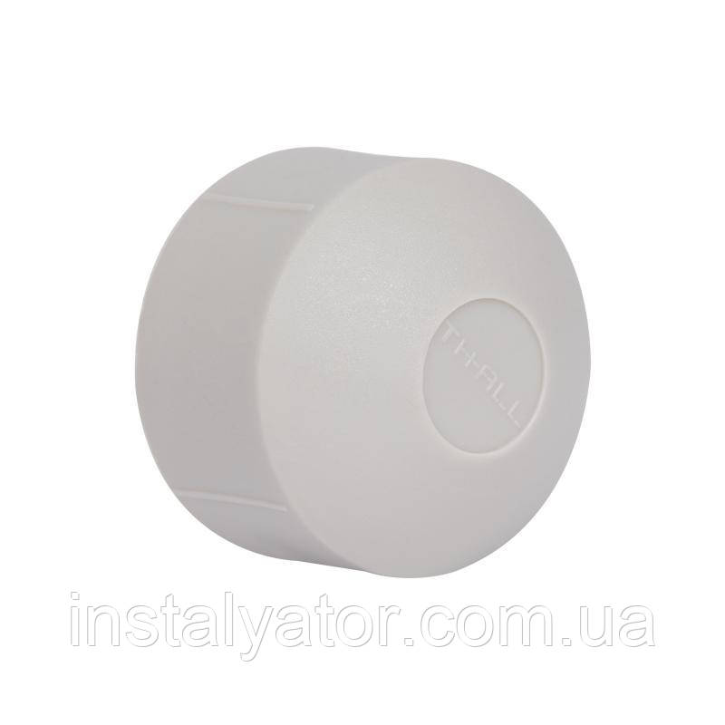 Заглушка PPR Thermo Alliance 32, фото 1