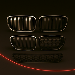 Решітки на BMW X5 E70 2010-2013 року