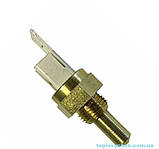 Датчик NTC G1/8 Італія для котлів Beretta, Immergas, Baxi, Hermann, Demrad, Westen,Termet, фото 2