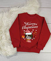 Дитячий світшот Harry Christmas чибі новорічний Гаррі Поттер