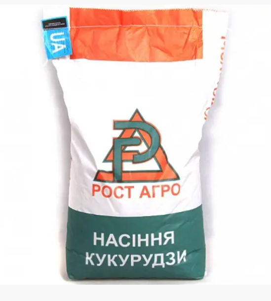 Кукурудза Сабін 2024р, фото 1