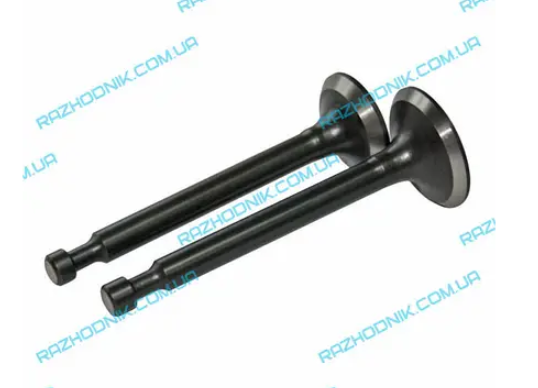 Клапани для генератора kme gg6500е, фото 1