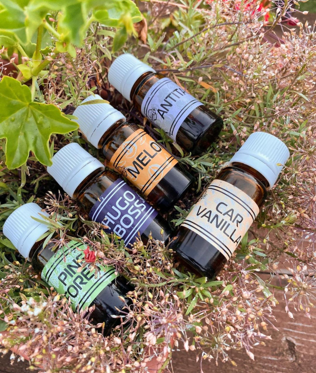 Аромамасла для ароматизаторів в авто, ароматизатори в авто 10 мл, фото 1