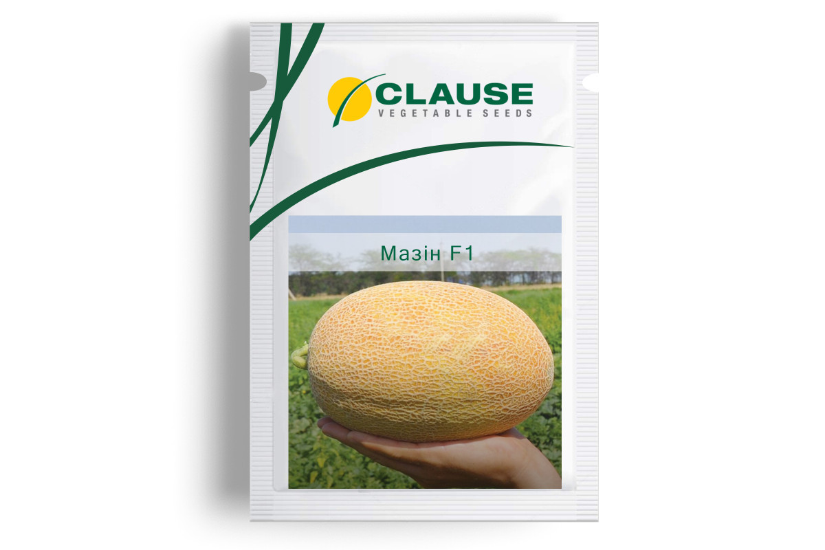 Насіння дині Мазін F1 (1000 насінин), фото 1