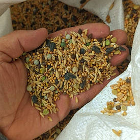 Зернова суміш для годівлі птахів і тварин | 25 кг | 2025 рік