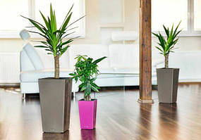 Горщики для квітів Plastkon, Scheurich