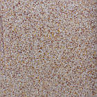 Гранітна мийка для кухні VALESO LIANA 6243 матова Карамель, фото 5