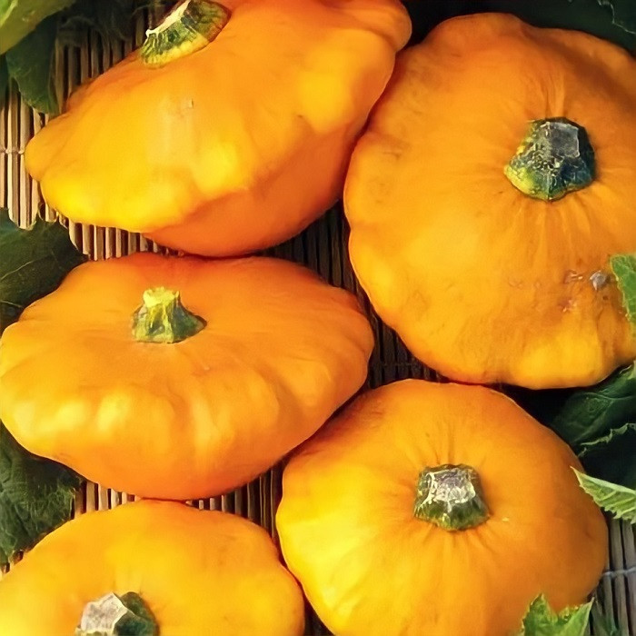 Патисон НЛО помаранчевий (3г) TM GL Seeds, фото 1