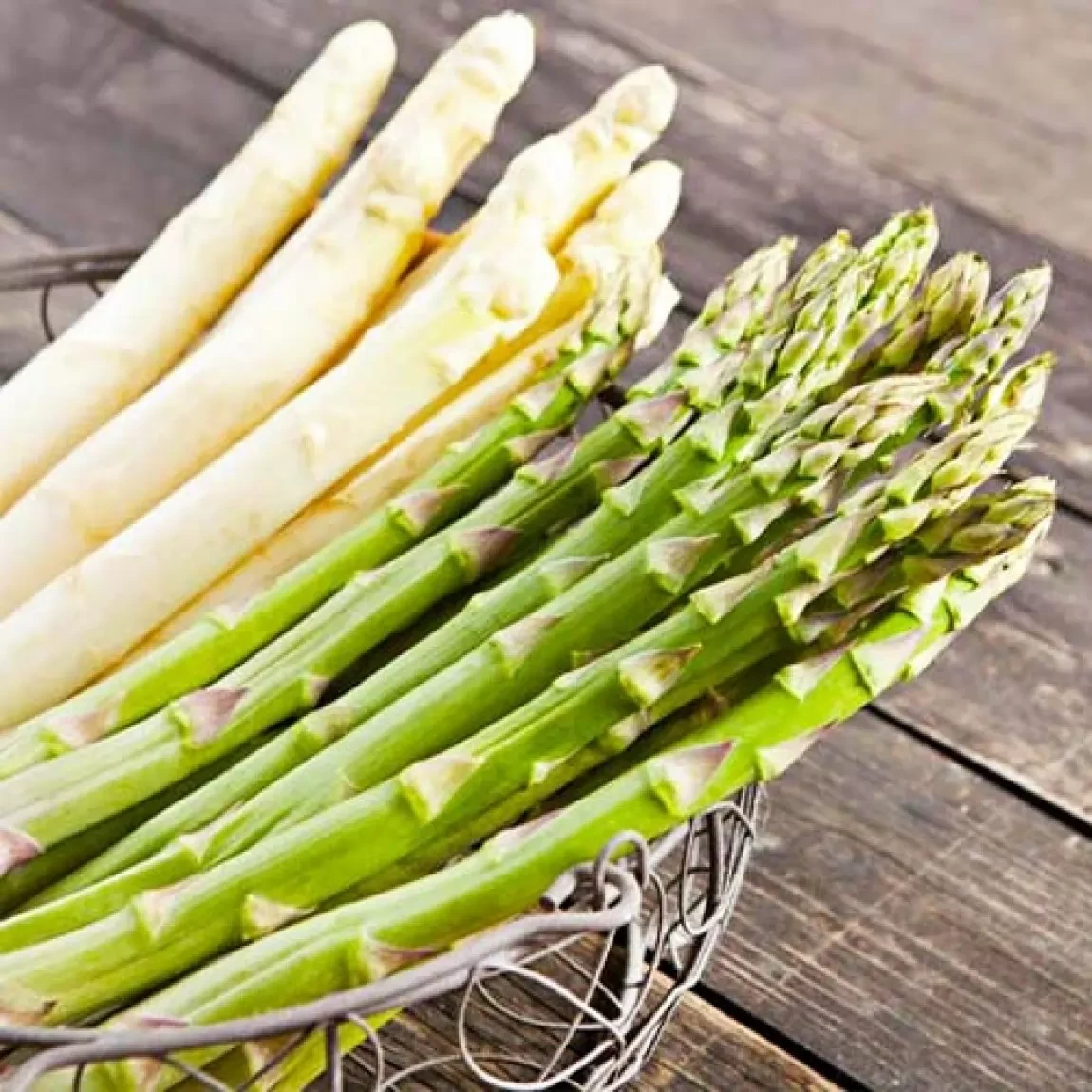 Спаржа Царська (1г) TM GL Seeds, фото 1