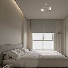 Стельова люстра з двома плафонами (52-9811-2 CR+CL), фото 3