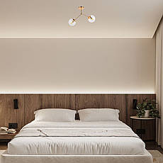 Стельова люстра з двома плафонами (52-9811-2 GD+CL), фото 3