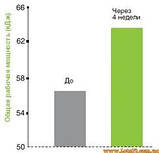Бета Аланін для тренувань спортсменів Nutricost Beta-Alanine 180 грам, фото 4